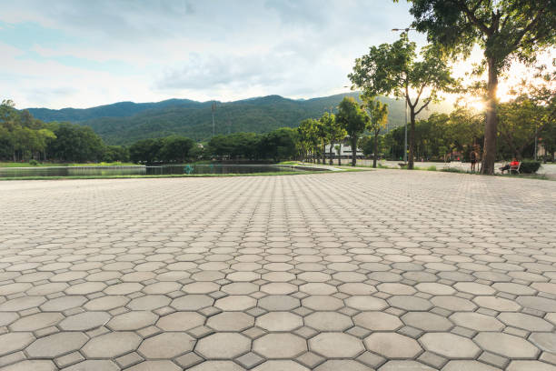 Best Driveway Pavers Installation  in Wapello, IA