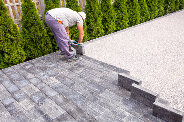 Best Driveway Paving Contractor  in Wapello, IA