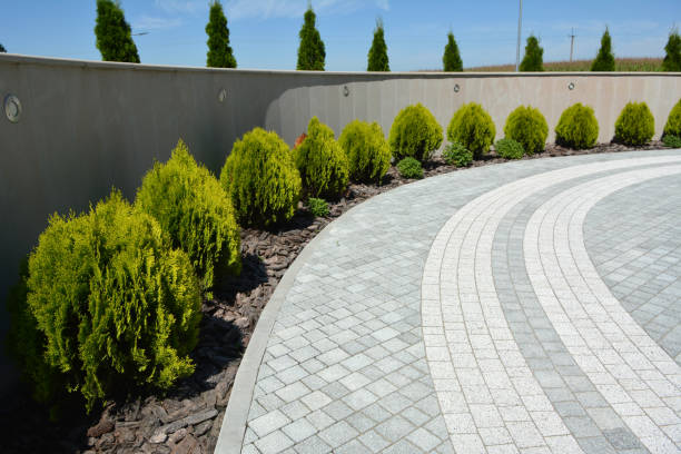 Best Concrete Paver Driveway  in Wapello, IA